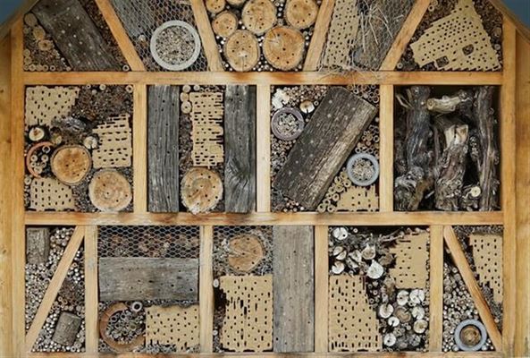 Sådan vælger du den rigtige træbeskyttelse til dit projekt