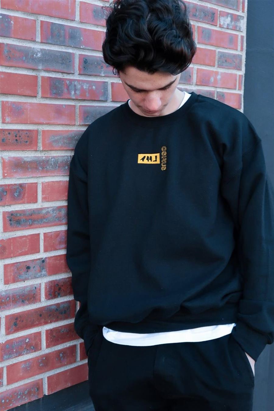 Crew necks – Perfekt til din garderobe