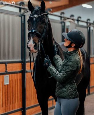 Sveddækkener til den svedige hest så den holdes helt tør