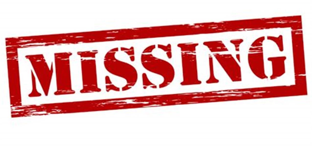 Drømmer du om at blive boligejer i Herning?