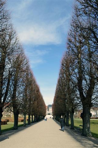 En dag i Kongens Have: En oase i hjertet af København