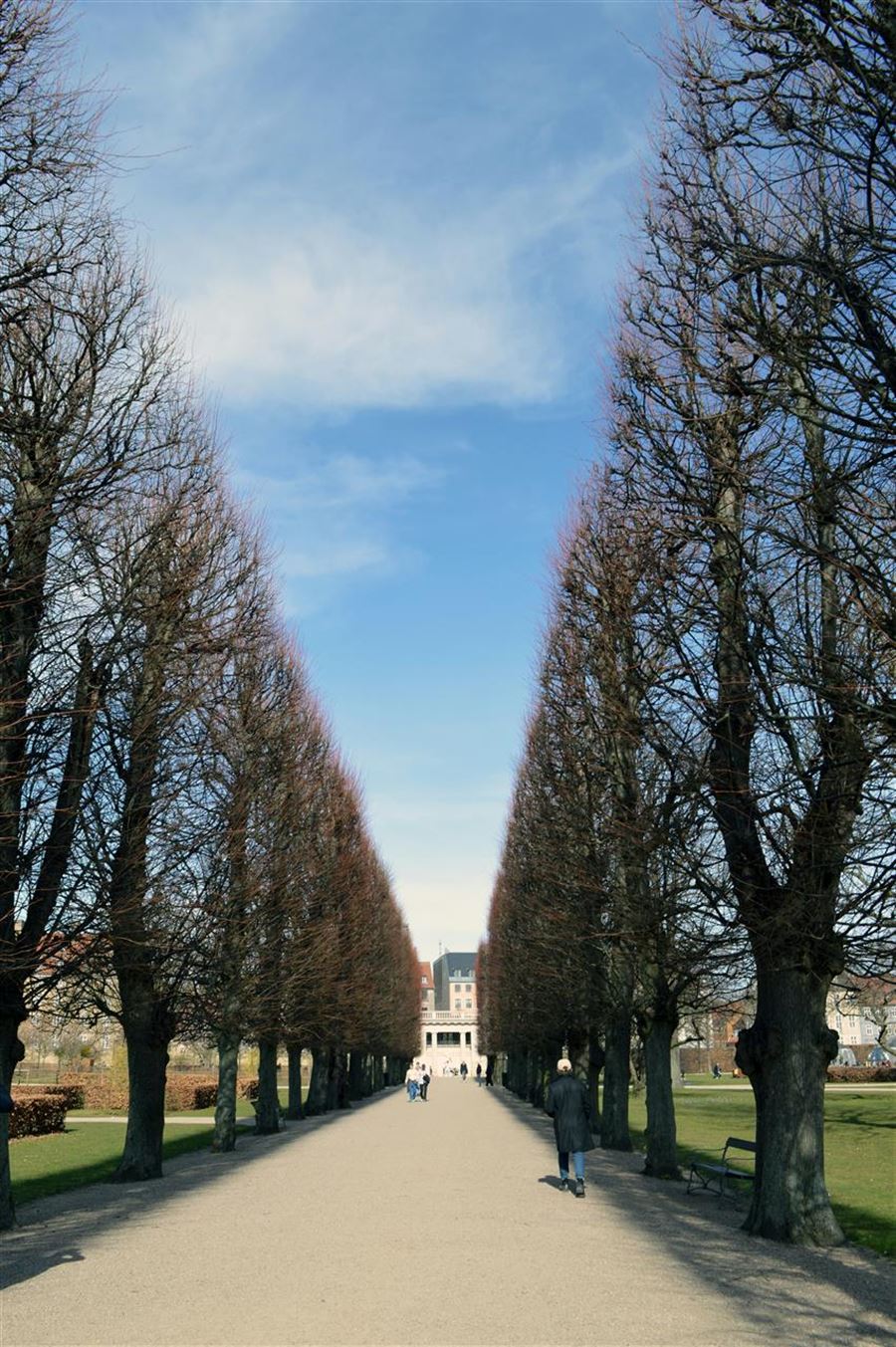 En dag i Kongens Have: En oase i hjertet af København