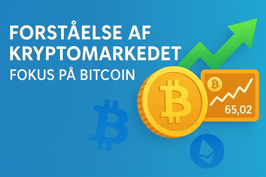 Forståelse af kryptomarkedet - fokus på bitcoin